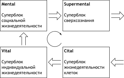 Структура условно полной модели ТИМ психики