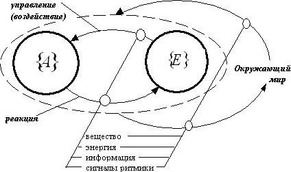 Межэлементный обмен в системах (систематика, одна из основ соционики)